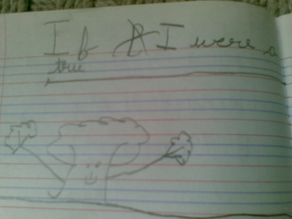 If_i_were_a_tree_title